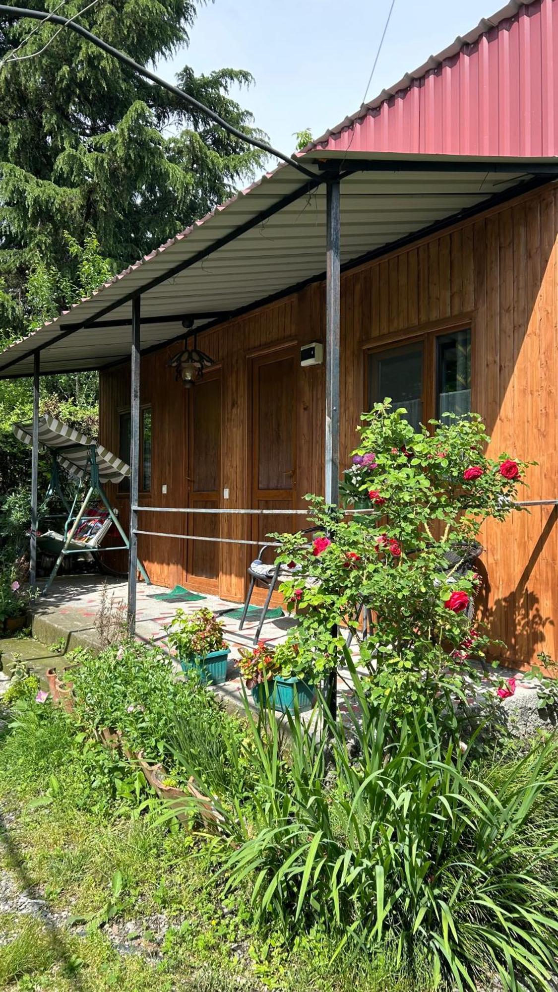 Ludwig Guesthouse Lagodekhi Extérieur photo