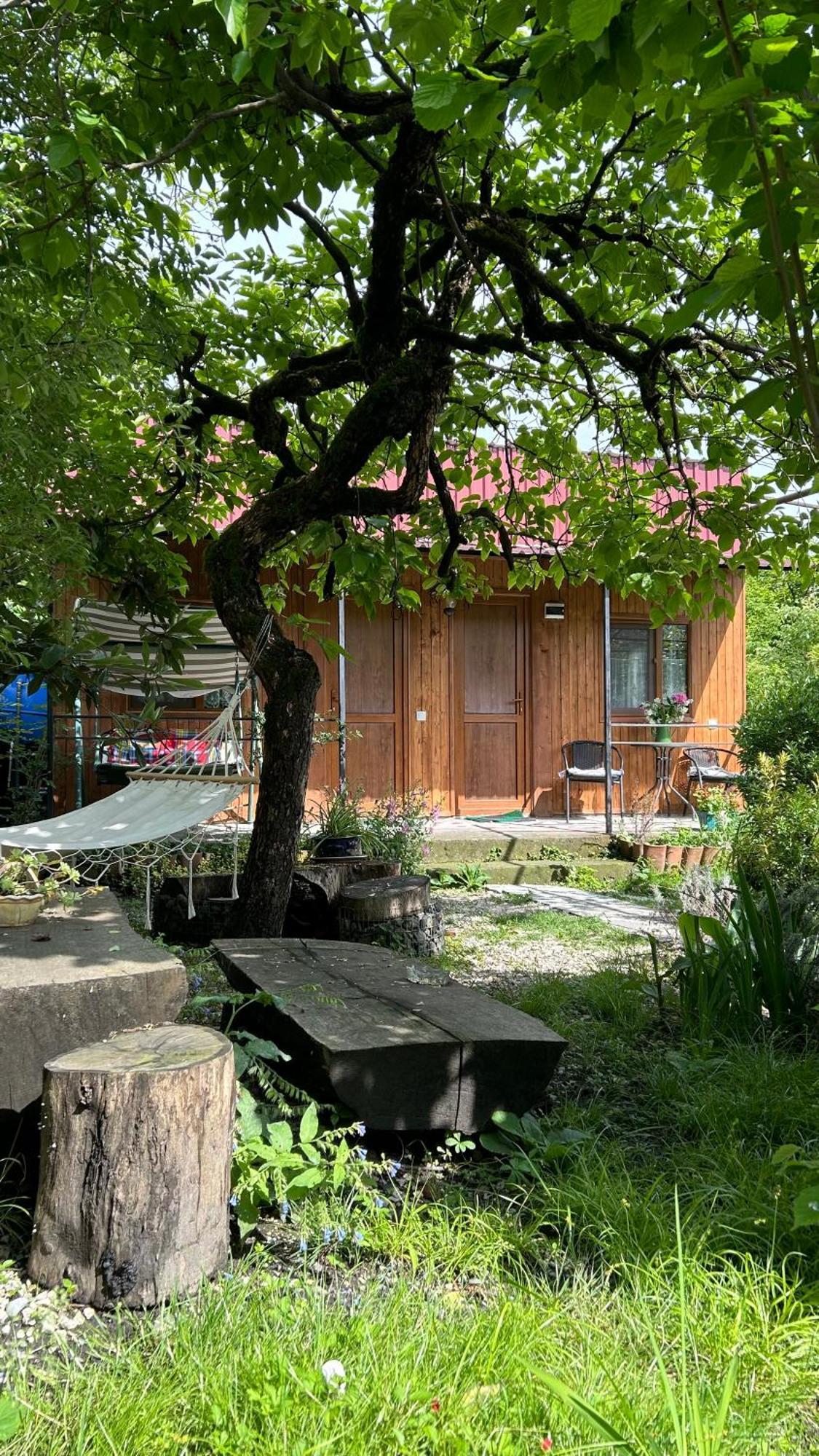 Ludwig Guesthouse Lagodekhi Extérieur photo
