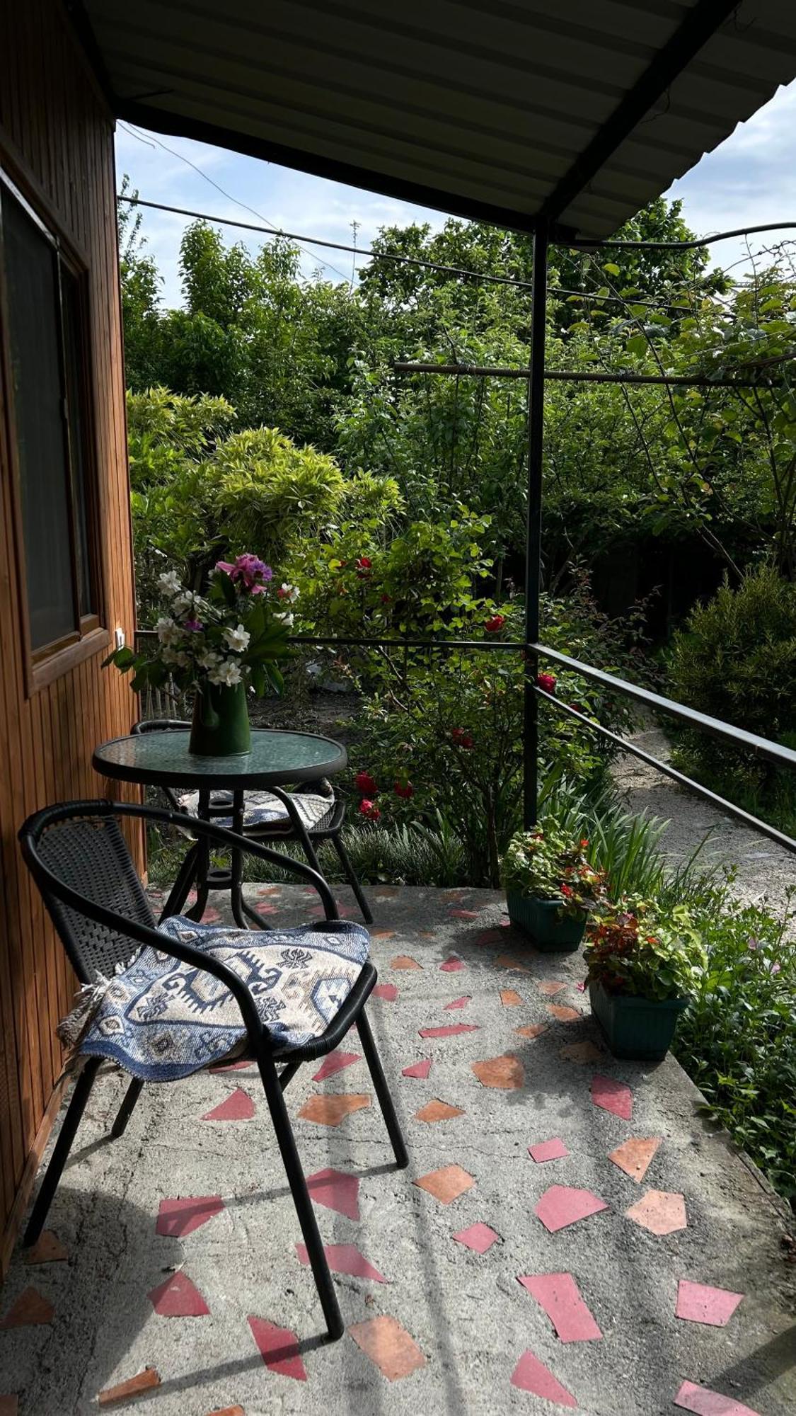 Ludwig Guesthouse Lagodekhi Extérieur photo