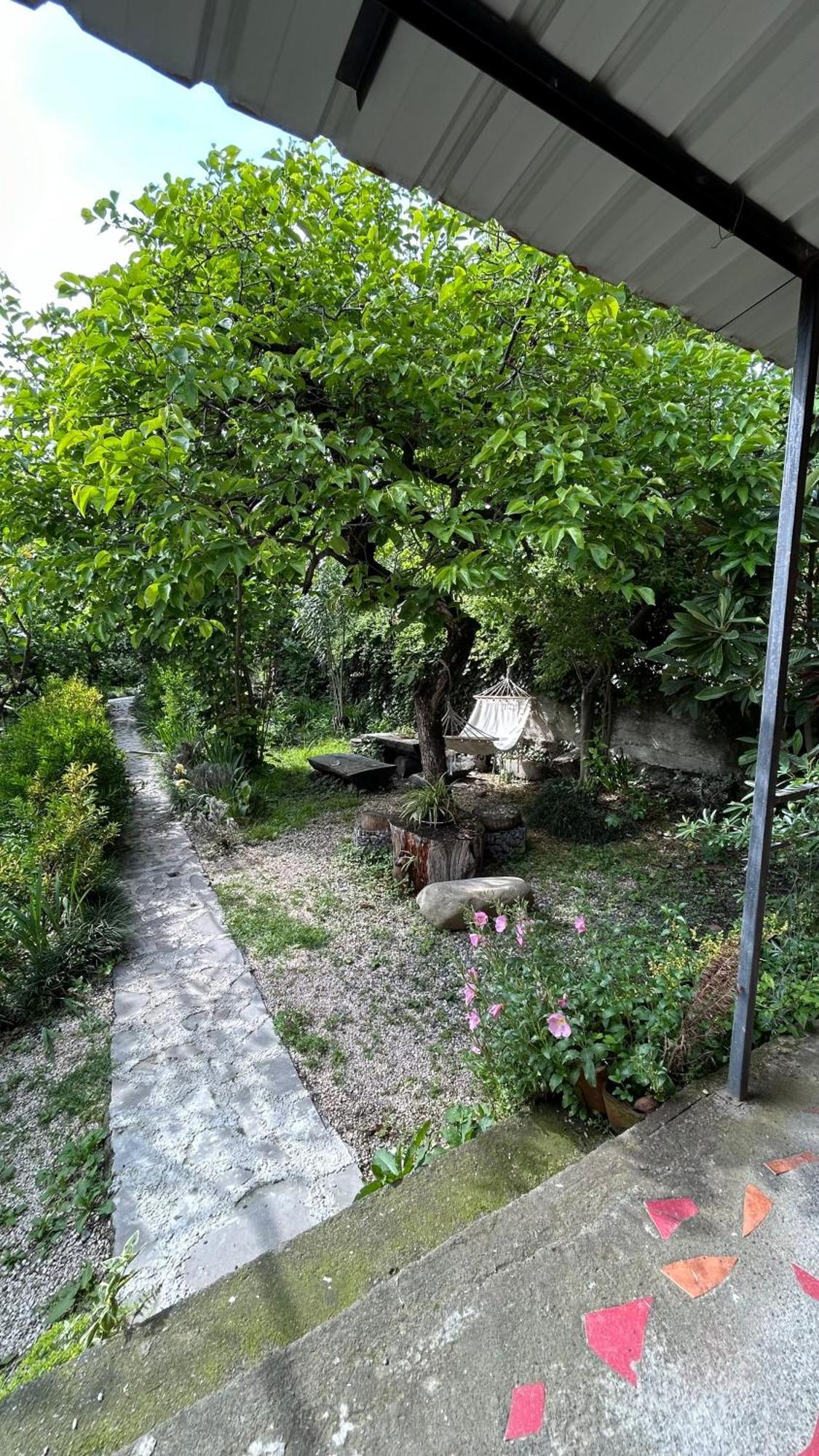 Ludwig Guesthouse Lagodekhi Extérieur photo